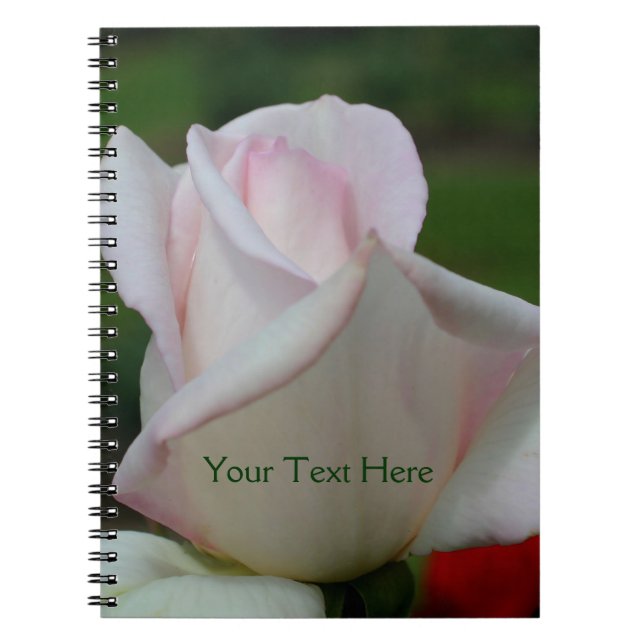 Pale Pink Rosebud Flower Nature Notebook (Front)