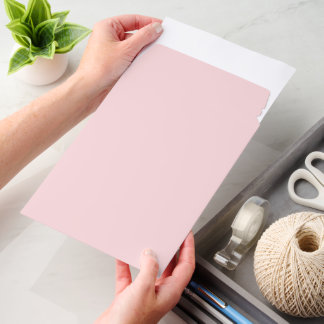 Pale Pink Shipping Envelope Mailer