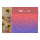 Pale Pink Spring Blossoms Floral Photo Card (Front Horizontal)