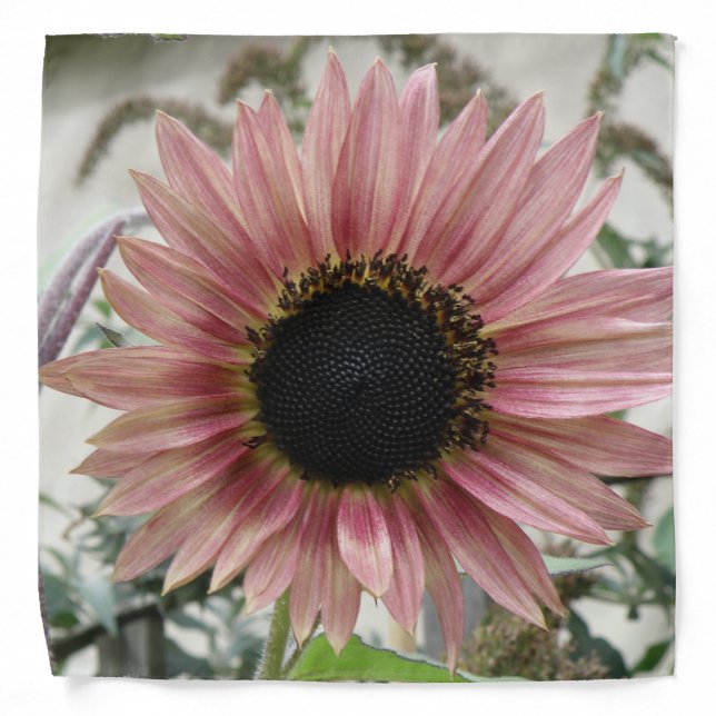 Pale Pink Sunflower Bandana (Front)