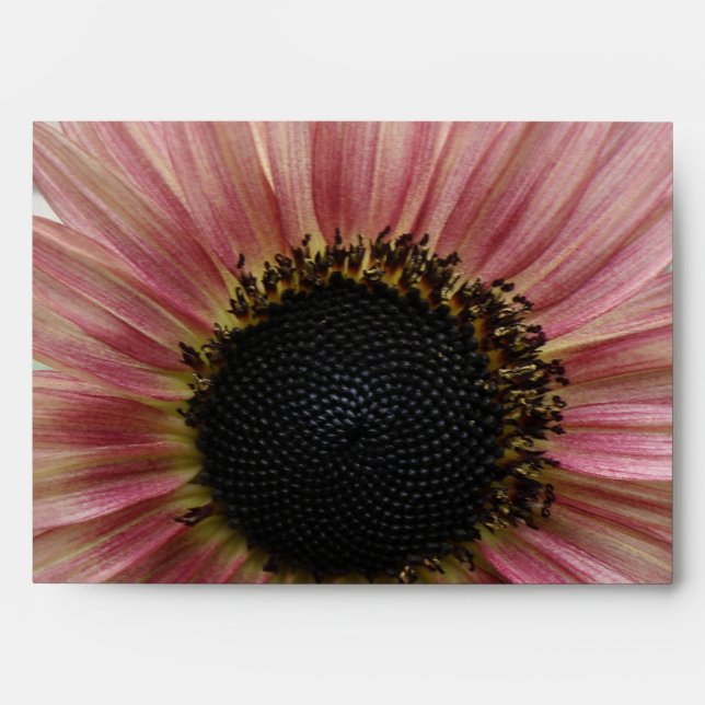 Pale Pink Sunflower Envelope (Front)