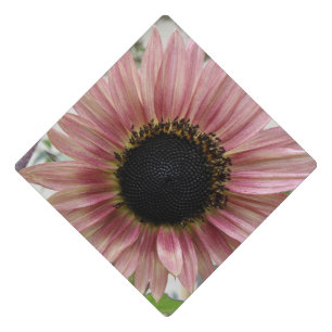 Pale Pink Sunflower Graduation Cap Topper