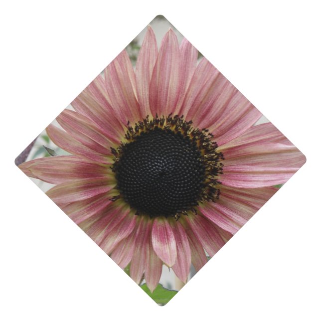 Pale Pink Sunflower Graduation Cap Topper (Front)