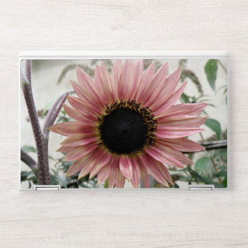 Pale Pink Sunflower HP Laptop Skin