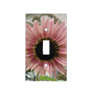 Pale Pink Sunflower Light Switch Cover