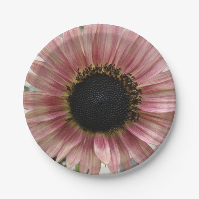 Pale Pink Sunflower Paper Plates (Front)
