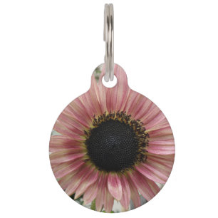 Pale Pink Sunflower Personalized Pet ID Tag