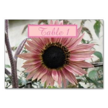 Pale Pink Sunflower Personalized Table Number by Fallen_Angel_483 at Zazzle