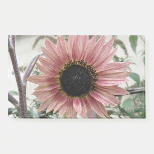 Pale Pink Sunflower Post_it Notes