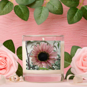Pale Pink Sunflower Scented Candle