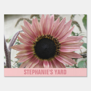 Pale Pink Sunflower Sign