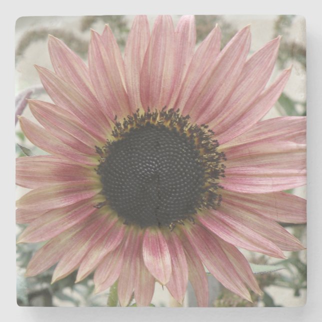 Pale Pink Sunflower Stone Coaster (Front)