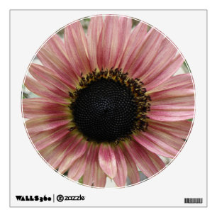 Pale Pink Sunflower Wall Decal