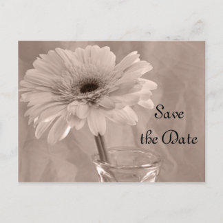 Pale Pink Tinted Daisy Wedding Save the Date Announcement Postcard