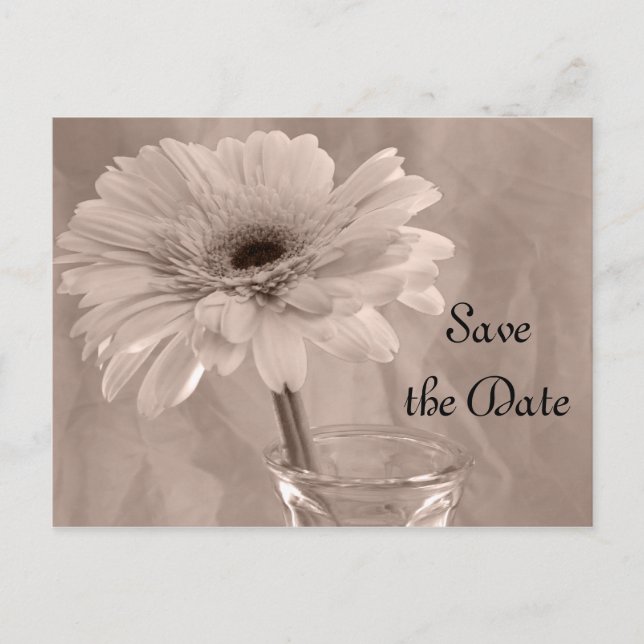 Pale Pink Tinted Daisy Wedding Save the Date Announcement Postcard (Front)