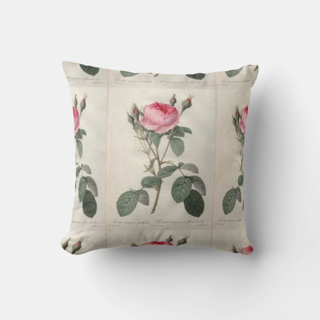 Pale pink vintage roses painting throw pillow (Front)
