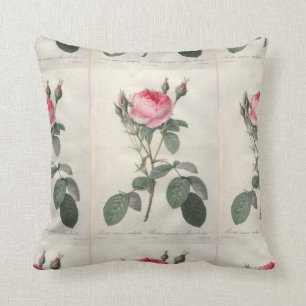 Pale pink vintage roses painting throw pillow