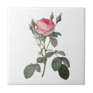 Pale pink vintage roses painting tile