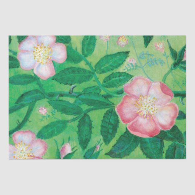 Pale Pink Wild Rose Flowers Summer   Tissue Paper (Front)