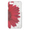 Pale Polka Dot Red Daisy Custom Name