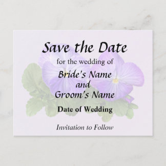 Pale Purple and White Pansy Couple Announcement Postcard