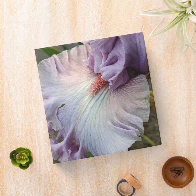Pale Purple Bearded Iris Floral 3 Ring Binder (In Situ)