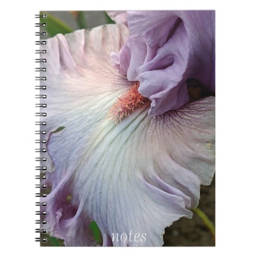 Pale Purple Bearded Iris Floral Notebook