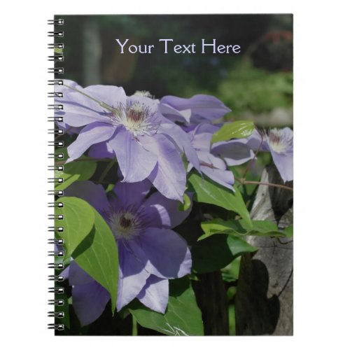 Pale Purple Clematis Flowers Nature Notebook