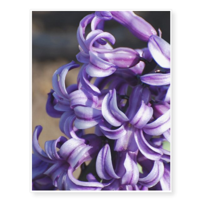 Pale Purple Hyacinth Temporary Tattoos (Front)