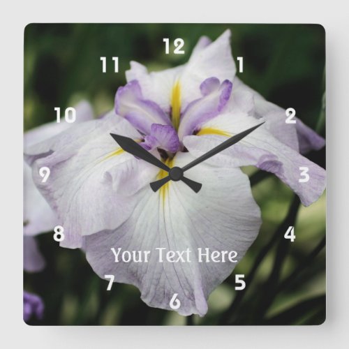 Pale Purple Japanese Iris Flower Square Wall Clock