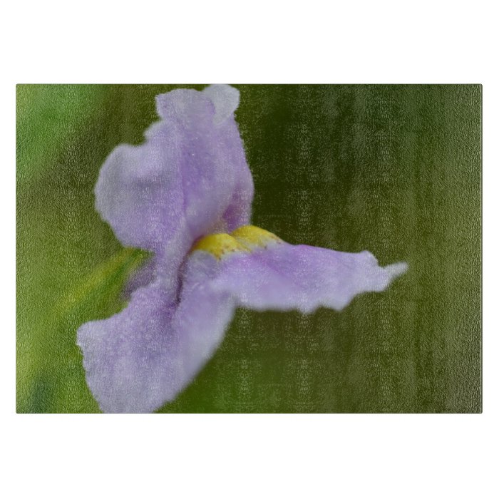 Pale Purple Wild Orchid Flower