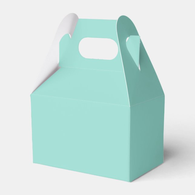 Pale Robin Egg Blue Solid Color Favor Boxes (Front Side)