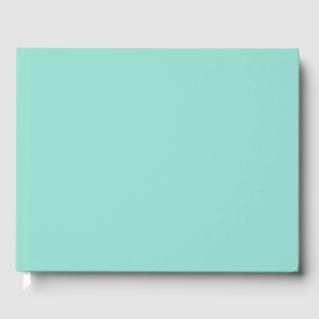 Pale Robin Egg Blue Solid Color Guest Book (Front)