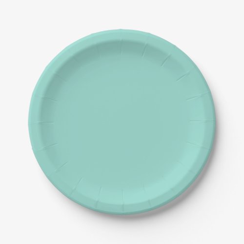 Pale Robin Egg Blue Solid Color Paper Plates