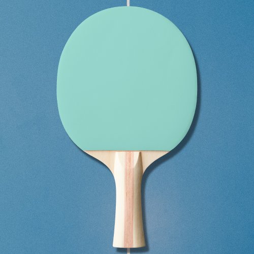 Pale Robin Egg Blue Solid Color Ping Pong Paddle