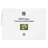 Pale Shelf Fungus Coordinating Items Cards (Back Horizontal)