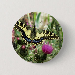 Pale Yellow and Blue Butterfly Pinback Button