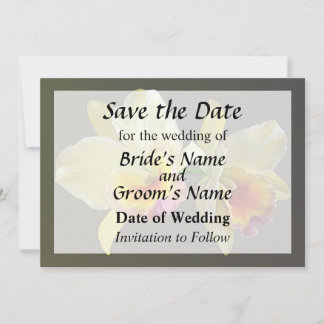 Pale Yellow Cattleya Orchids Save the Date