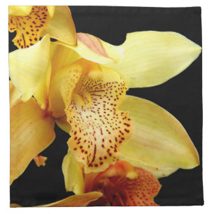Pale Yellow Cymbidium Orchid Cloth Napkins