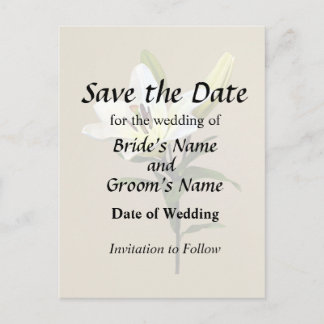Pale Yellow Lily and Buds Announcement Postcard