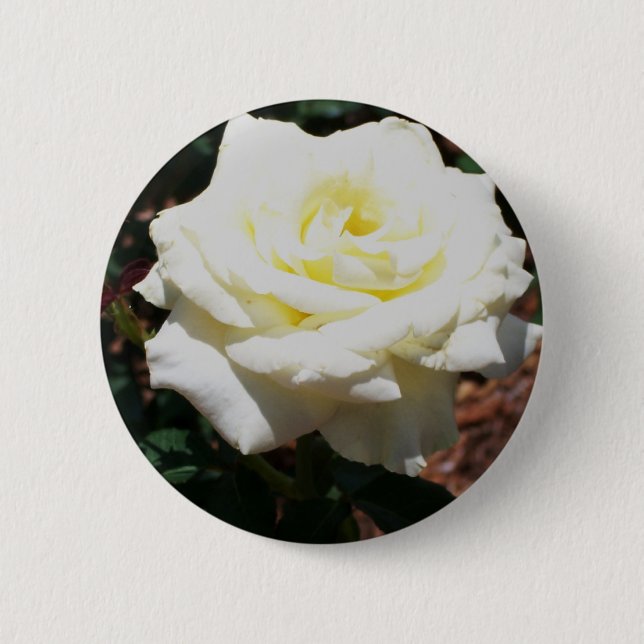 Pale Yellow Rose Button (Front)