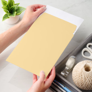 Pale Yellow Shipping Envelope Mailer