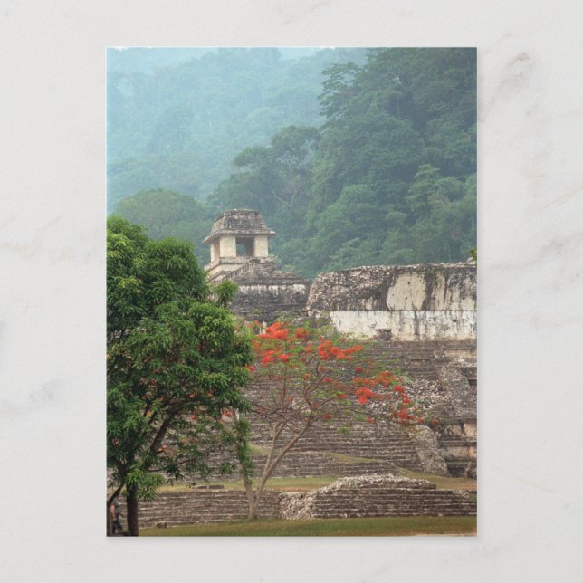 Palenque, Mexico Postcard (Front)