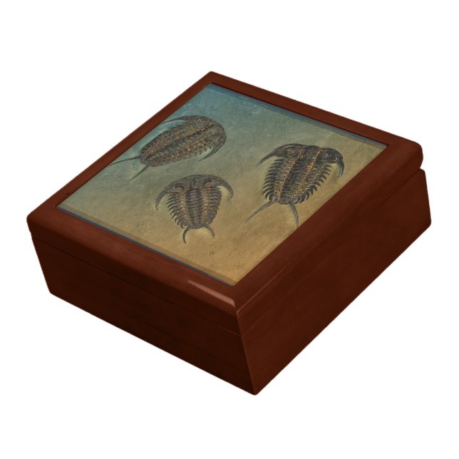 "Paleo-chic" Ceraurus and Levicerurus Trilobites Gift Box (Side)