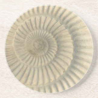 "Paleo-chic" Perisphinctes Ammonite Trinket Tray Coaster