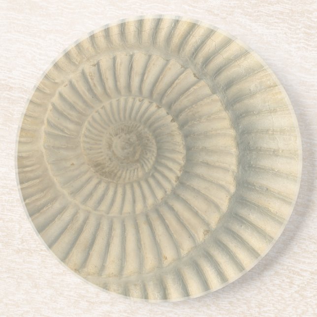 "Paleo-chic" Perisphinctes Ammonite Trinket Tray Coaster (Front)