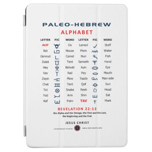 Paleo Hebrew iPad Air Cover