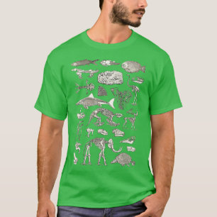Paleontology Illustration 6 T-Shirt