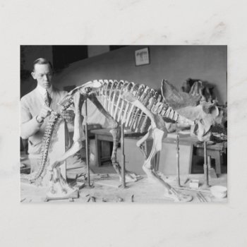 Paleontology Scientist Baby Dinosaur Vintage Postcard by fotoshoppe at Zazzle