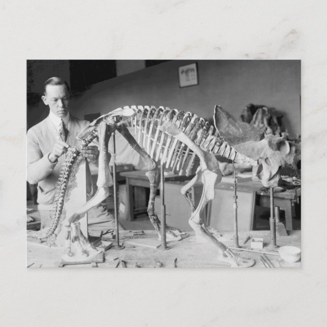 Paleontology Scientist Baby Dinosaur Vintage Postcard (Front)